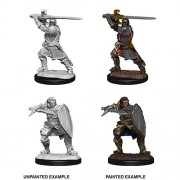 Male Human Paladin - D&D Nolzur's Marvelous Miniatures - W14