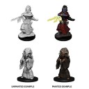 Night Hag & Dusk Hag - D&D Nolzur's Marvelous Miniatures - W14