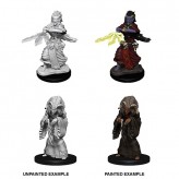 Night Hag & Dusk Hag - D&D Nolzur's Marvelous Miniatures - W14