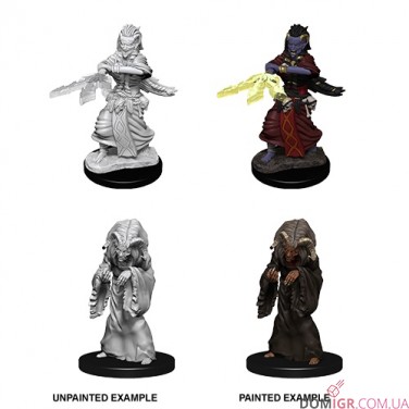 Купити Night Hag & Dusk Hag - D&D Nolzur's Marvelous Miniatures - W14 Night Hag & Dusk Hag - D&D Nolzur's Marvelous Miniatures - W14