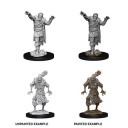 Scarecrow & Stone Cursed - D&D Nolzur's Marvelous Miniatures - W14