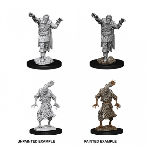 Scarecrow & Stone Cursed - D&D Nolzur's Marvelous Miniatures - W14