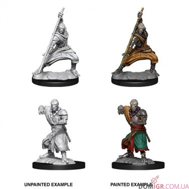 Warforged Monk - D&D Nolzur's Marvelous Miniatures - W14