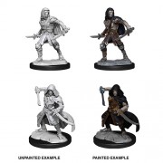 Warforged Rogue - D&D Nolzur's Marvelous Miniatures - W14