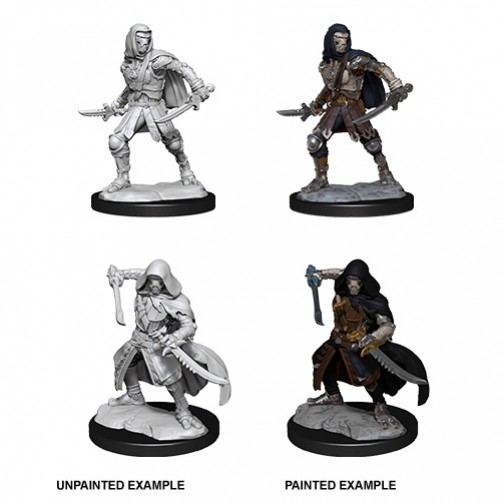 Warforged Rogue - D&D Nolzur's Marvelous Miniatures - W14