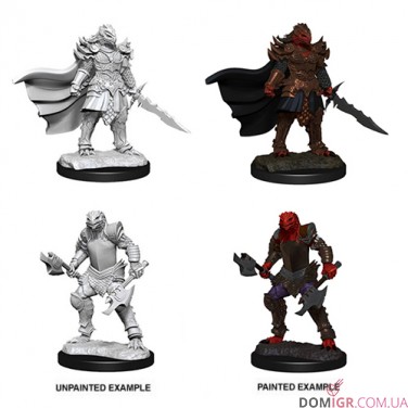 Female Dragonborn Fighter - D&D Nolzur's Marvelous Miniatures - W15