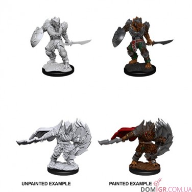 Male Dragonborn Fighter - D&D Nolzur's Marvelous Miniatures - W15