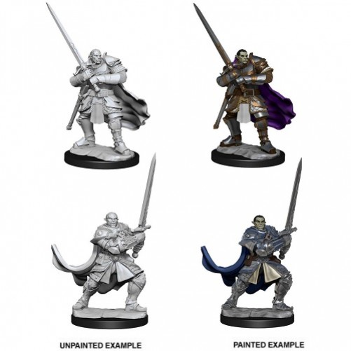 Male Half-Orc Paladin - D&D Nolzur's Marvelous Miniatures - W15