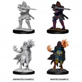 Male Hobgoblin Fighter and Female Wizard - D&D Nolzur's Marvelous Miniatures - W15 Купить Male Hobgoblin Fighter and Female Wizard - D&D Nolzur's Marvelous Miniatures - W15 (Моделирование)