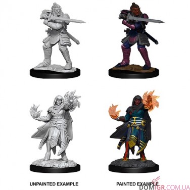 Male Hobgoblin Fighter and Female Wizard - D&D Nolzur's Marvelous Miniatures - W15