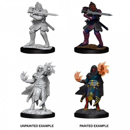 Male Hobgoblin Fighter and Female Wizard - D&D Nolzur's Marvelous Miniatures - W15