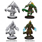 Lizardfolk Barbarian & Lizardfolk Cleric - D&D Nolzur's Marvelous Miniatures - W15