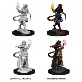 Female Tiefling Sorcerer - D&D Nolzur's Marvelous Miniatures - W15