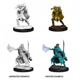 Winter Eladrin & Spring Eladrin - D&D Nolzur's Marvelous Miniatures - W15 Купить Winter Eladrin & Spring Eladrin - D&D Nolzur's Marvelous Miniatures - W15 (Моделирование)