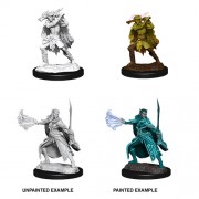 Winter Eladrin & Spring Eladrin - D&D Nolzur's Marvelous Miniatures - W15