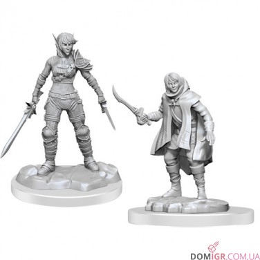 Elf Rogue & Half-Elf Rogue Protege - D&D Nolzur's Marvelous Miniatures - W19
