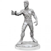 Headless Monster - D&D Nolzur's Marvelous Miniatures - W19