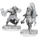 Half-Elf Warlock - D&D Nolzur's Marvelous Miniatures - W20