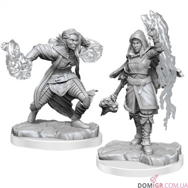 Half-Elf Warlock - D&D Nolzur's Marvelous Miniatures - W20