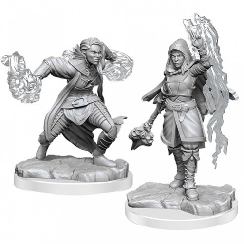 Half-Elf Warlock - D&D Nolzur's Marvelous Miniatures - W20