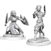 Shifter Fighter - D&D Nolzur's Marvelous Miniatures - W20