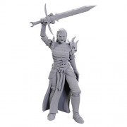 Blackguard - D&D Nolzur's Marvelous Miniatures - W25