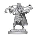 Male Human Sorcerer - D&D Nolzur's Marvelous Miniatures - W1