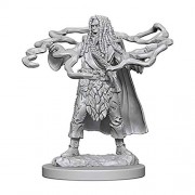 Male Human Sorcerer - D&D Nolzur's Marvelous Miniatures - W1