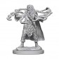 Male Human Sorcerer - D&D Nolzur's Marvelous Miniatures - W1