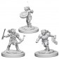 Goblins - D&D Nolzur's Marvelous Miniatures - W1