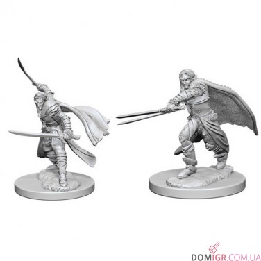 Male Elf Ranger - D&D Nolzur's Marvelous Miniatures - W1
