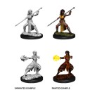 Female Half-Elf Monk - D&D Nolzur's Marvelous Miniatures - W10