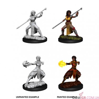 Female Half-Elf Monk - D&D Nolzur's Marvelous Miniatures - W10