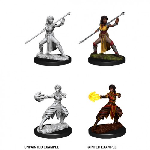 Female Half-Elf Monk - D&D Nolzur's Marvelous Miniatures - W10
