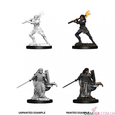 Human Paladin - D&D Nolzur's Marvelous Miniatures - W10