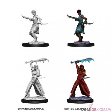 Human Rogue - D&D Nolzur's Marvelous Miniatures - W10