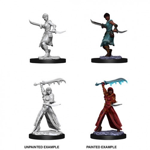 Human Rogue - D&D Nolzur's Marvelous Miniatures - W10