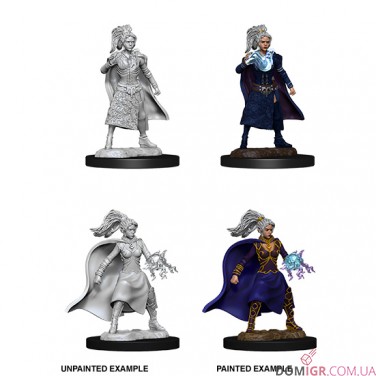 Human Sorcerer - D&D Nolzur's Marvelous Miniatures - W10