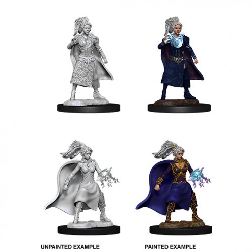 Human Sorcerer - D&D Nolzur's Marvelous Miniatures - W10
