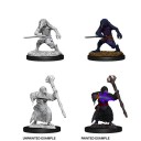 Kenku Adventures - D&D Nolzur's Marvelous Miniatures - W10