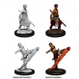 Male Half-Elf Monk - D&D Nolzur's Marvelous Miniatures - W10