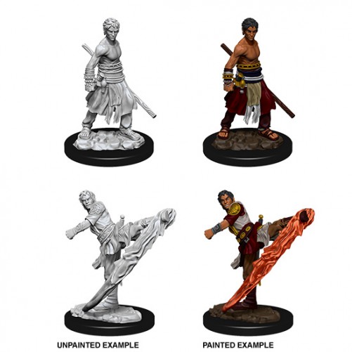 Male Half-Elf Monk - D&D Nolzur's Marvelous Miniatures - W10