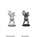 Ettin - D&D Nolzur's Marvelous Miniatures - W12.5