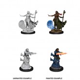 Female Human Wizard - D&D Nolzur's Marvelous Miniatures - W11