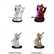Lich & Mummy Lord - D&D Nolzur's Marvelous Miniatures - W11