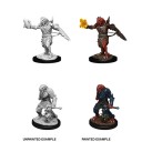 Male Dragonborn Paladin - D&D Nolzur's Marvelous Miniatures - W11