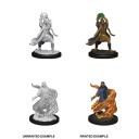 Male Elf Sorcerer - D&D Nolzur's Marvelous Miniatures - W11