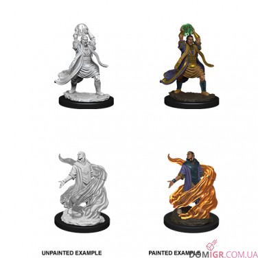 Male Elf Sorcerer - D&D Nolzur's Marvelous Miniatures - W11
