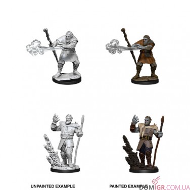 Купить Male Firbolg Druid - D&D Nolzur's Marvelous Miniatures - W11 Male Firbolg Druid - D&D Nolzur's Marvelous Miniatures - W11