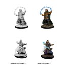 Male Human Wizard - D&D Nolzur's Marvelous Miniatures - W11